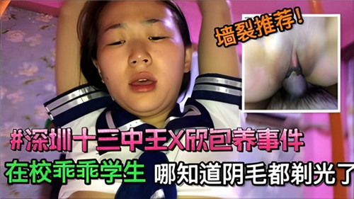 深圳某高中妹包养事件 海报
