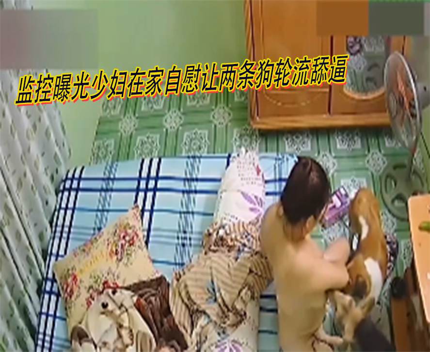 错过后悔啊监控曝光少妇在家自慰让两条狗轮流舔逼 海报