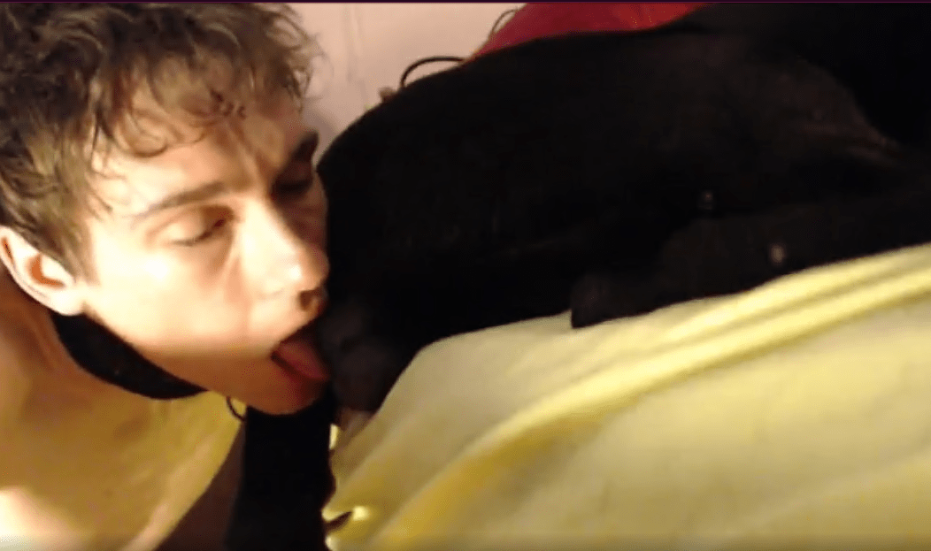兴奋的男同性恋享受美味的狗阴茎插入他的屁股 海报