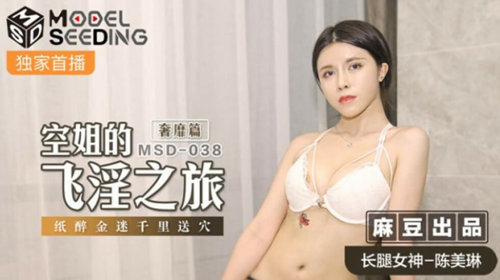 陈美琳空姐制服诱惑：麻豆飞淫之旅奢靡篇，千里送穴纸醉金迷！ 海报