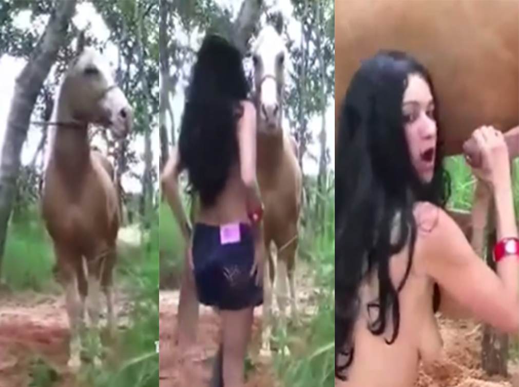 户外美女和马 海报