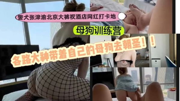 警犬张津渝北京大裤衩酒店网红打卡地母狗训练营各路大神带着自己的母狗去朝圣 海报