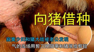寂寞少妇老公不在家偷偷找猪哥借种消瘾 海报