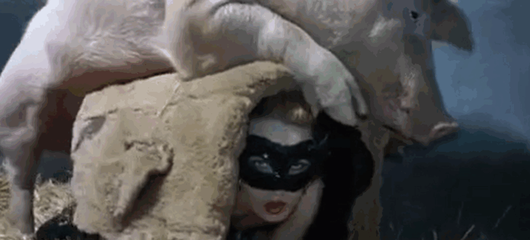 金发女郎与一只猪玩得很开心 海报