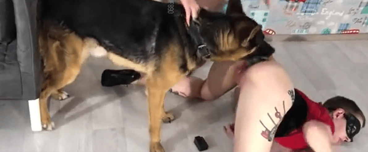 狗舔女人干燥的阴部，而她则呻吟并起伏 海报