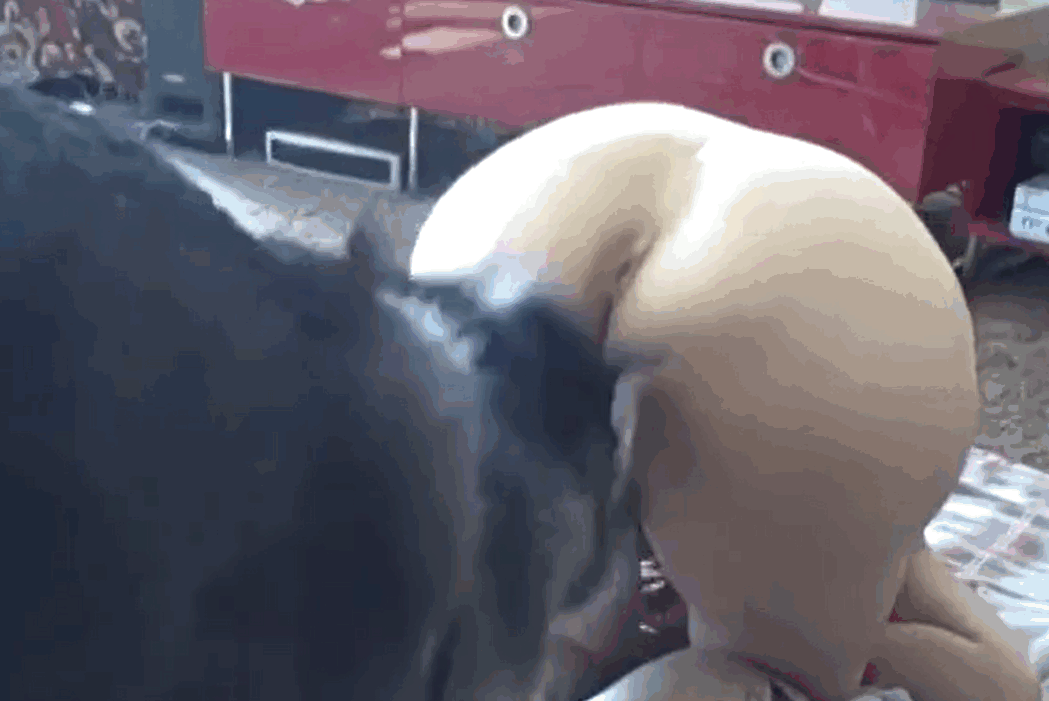黑发美女阴部遭严重侵犯 海报