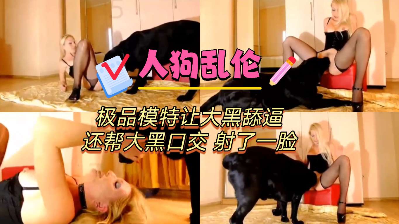 [人狗乱伦]极品模特让大黑舔逼还帮大黑口交射了一脸 海报