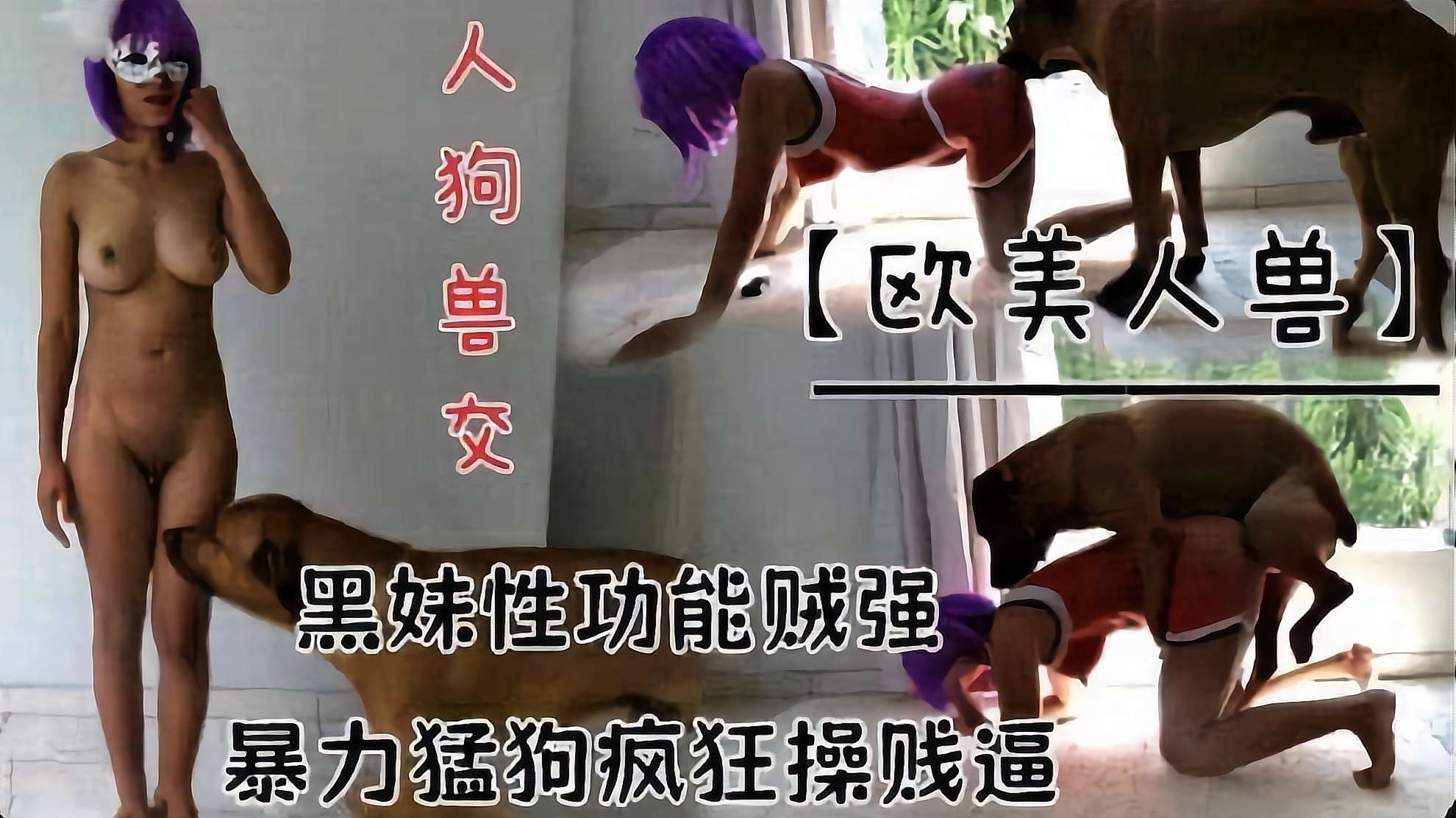 [人狗乱伦]黑妹也只有健壮公狗能满足她 海报
