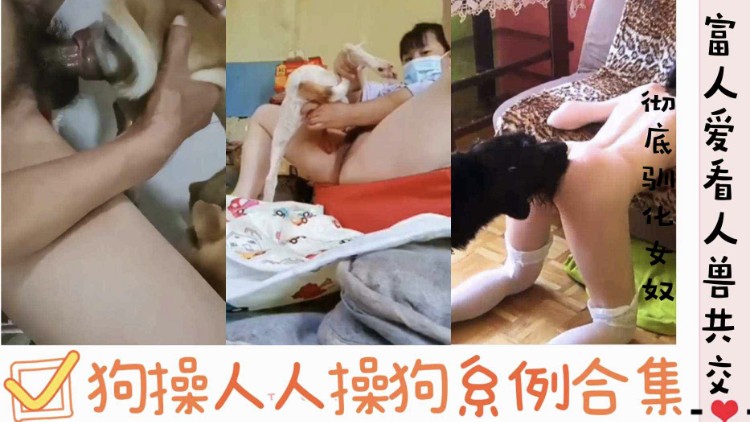 平时都是狗操人现在轮到人操狗狗哥连声都不敢叫 海报