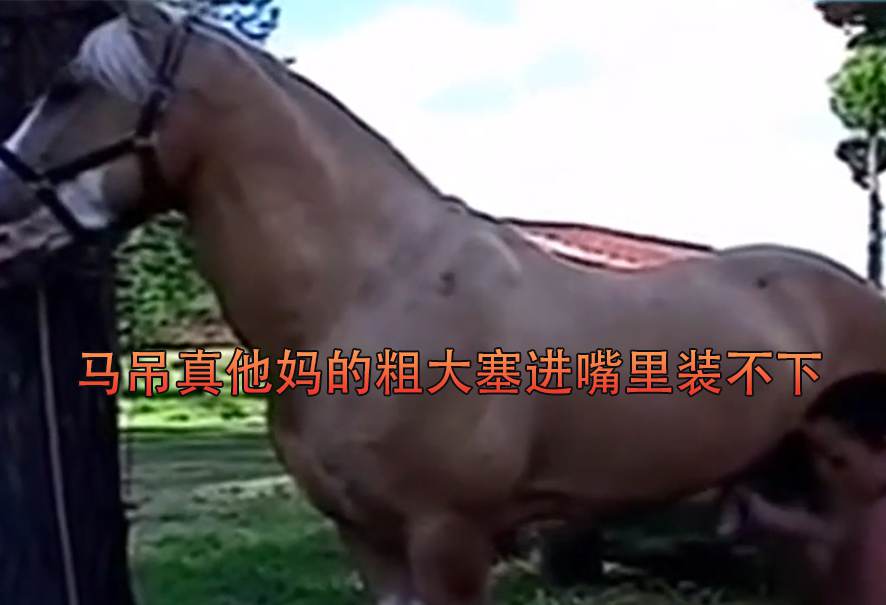 【人兽】马吊真他妈的粗大塞进嘴里装不下 海报
