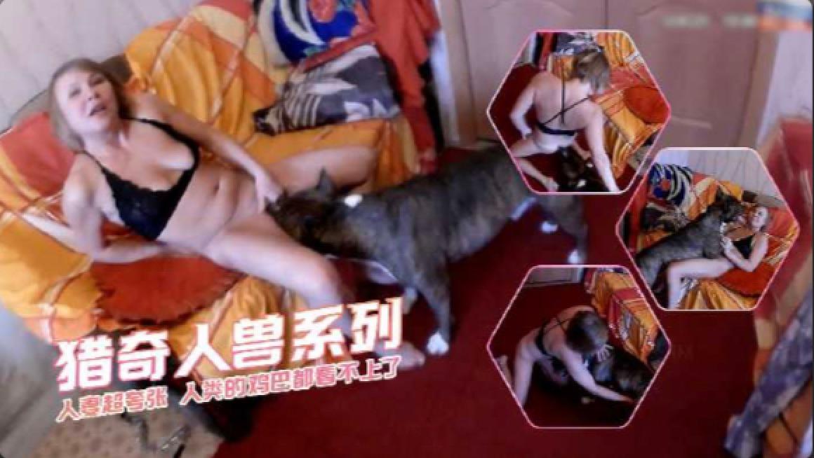 人妻超夸张人类的鸡巴都看不上了 海报