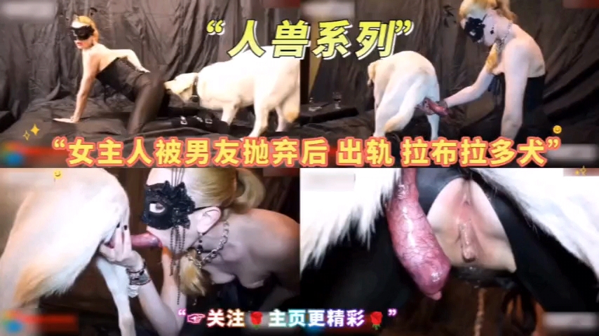系列女主人出轨拉不拉多 海报