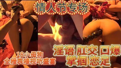 小母狗全程哀嚎视频盛宴 真是太淫荡了 海报