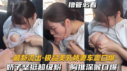 【最新流出极品美乳娇妻车震口爆】奶子坚挺超级粉，胸推深喉 海报