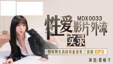 性爱影片外流实录. 海报