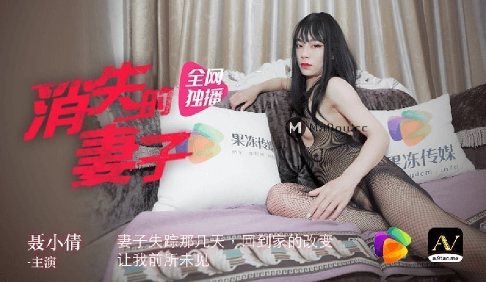 消失的妻子聂小倩 海报