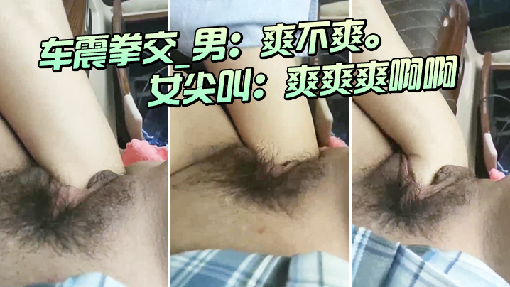 车震拳交_男：爽不爽。_女尖叫：爽爽爽啊啊，大大大，爸爸爸爸我不要啦不要 海报