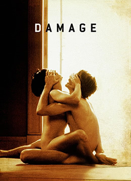 烈火情人.Damage.1992.UK.BluRay.1280x696p.x264.AC3-KOOK.[中英双字] 海报