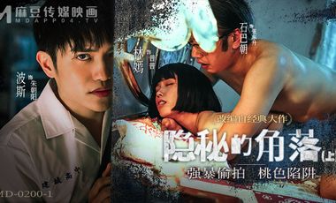 【麻豆传媒】MD0200-1隐秘的角落上集强奸偷拍偷色陷阱 海报